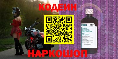 гашик Волжский