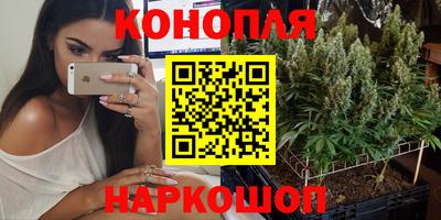 шишки Волгодонск