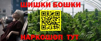 гашик Волжский
