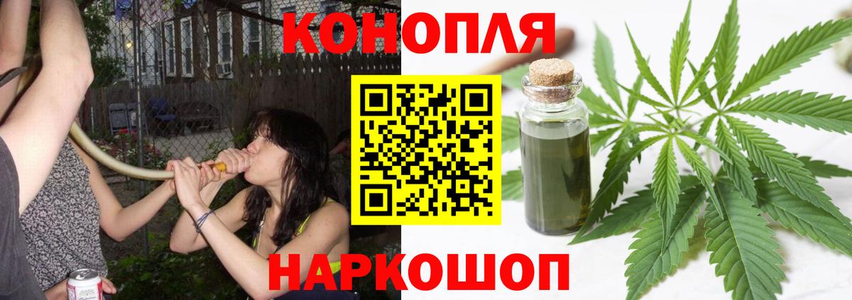 Каннабис AK-47  Конопля OG Kush  Кашира  Шишки марихуана сатива  Вход с VPN 